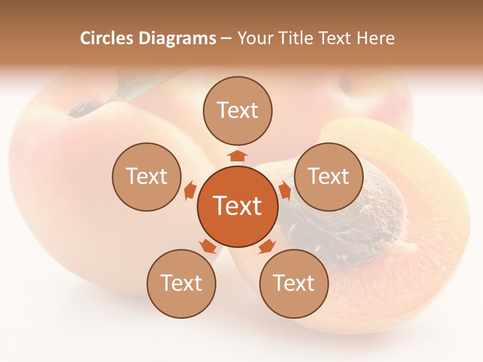 Orange Organic Macro PowerPoint Template