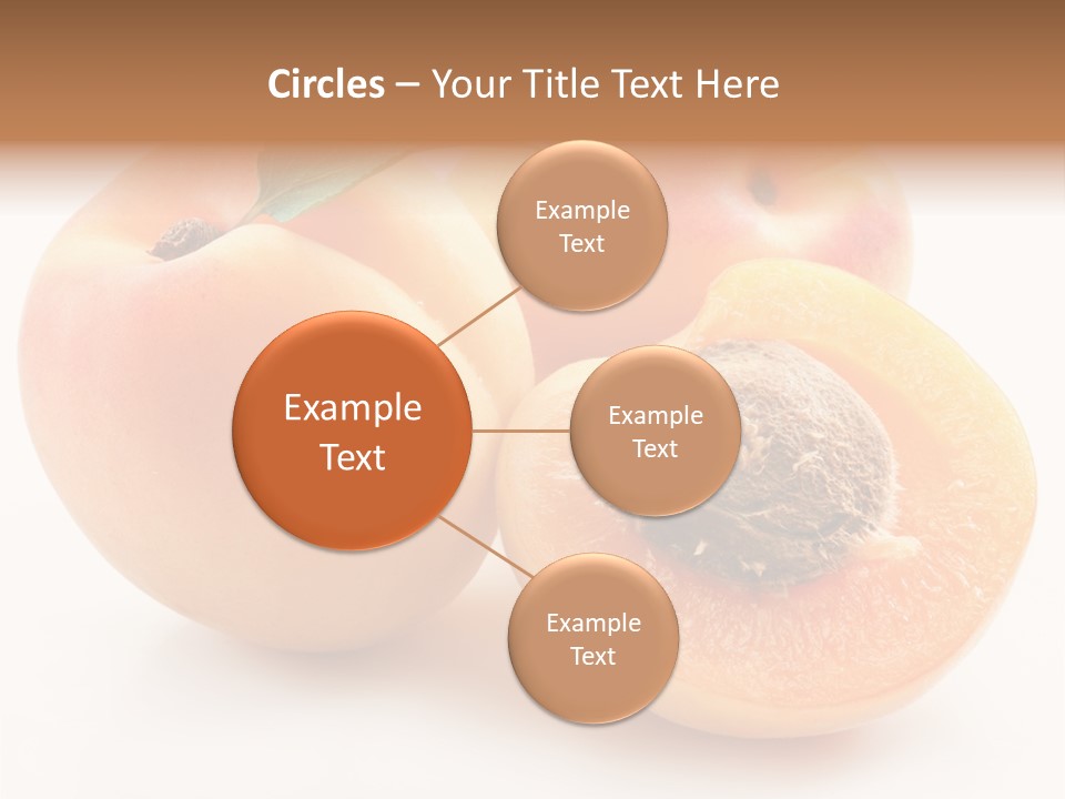 Orange Organic Macro PowerPoint Template