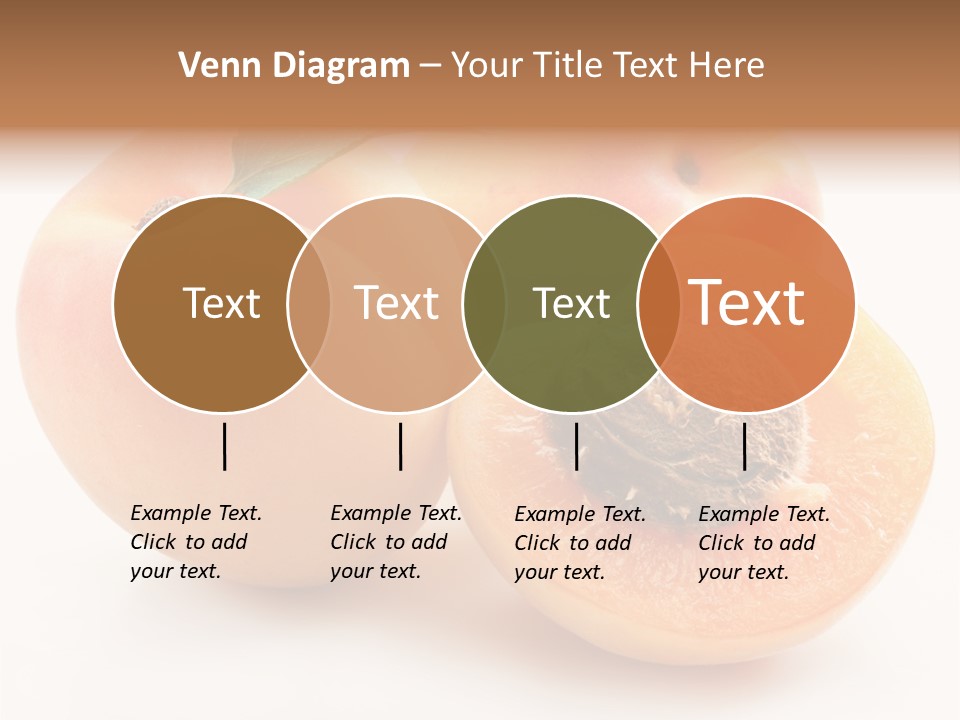 Orange Organic Macro PowerPoint Template