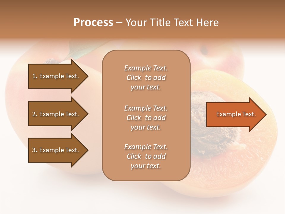 Orange Organic Macro PowerPoint Template