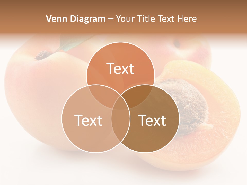 Orange Organic Macro PowerPoint Template