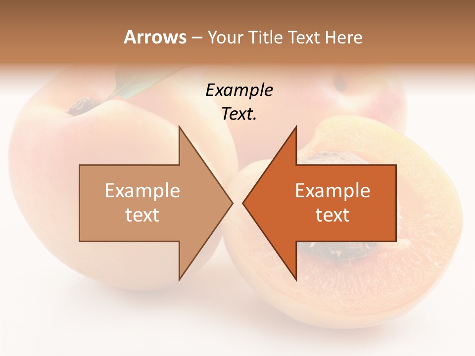 Orange Organic Macro PowerPoint Template