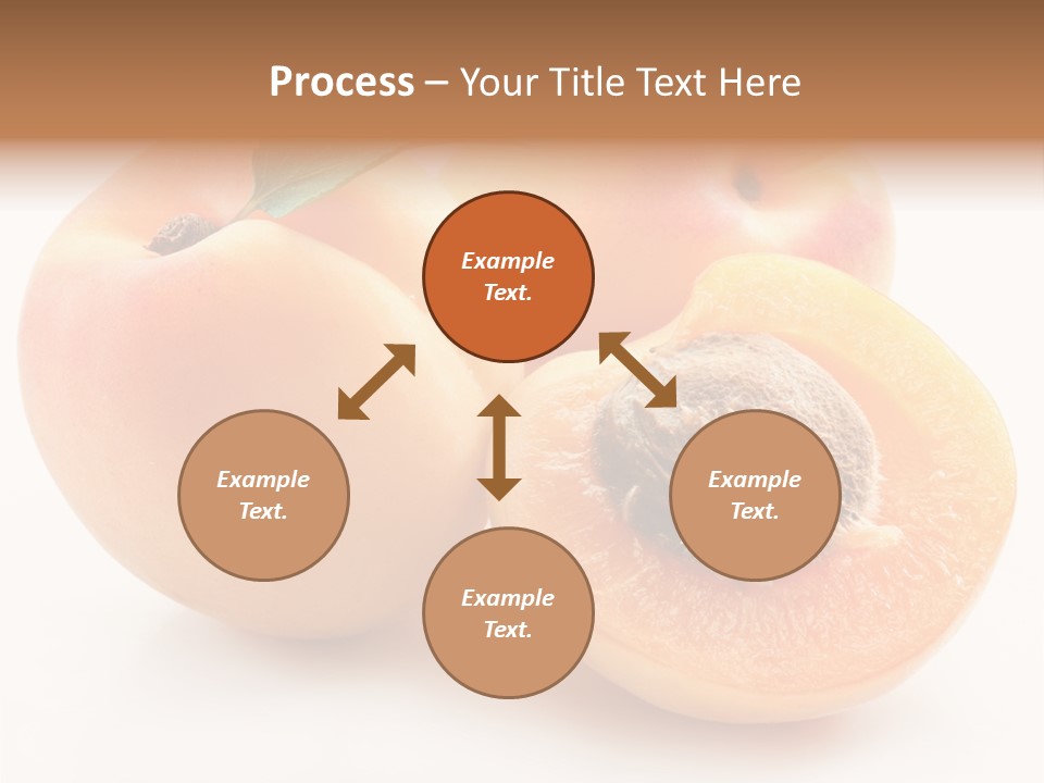 Orange Organic Macro PowerPoint Template