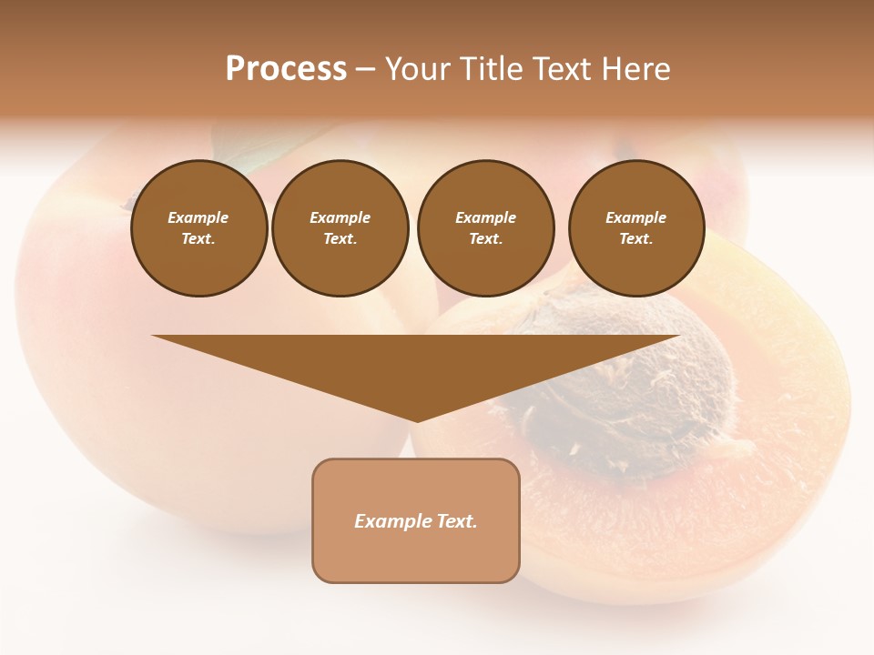 Orange Organic Macro PowerPoint Template