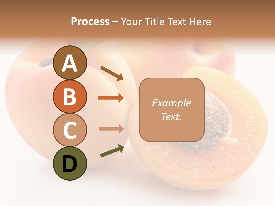 Orange Organic Macro PowerPoint Template
