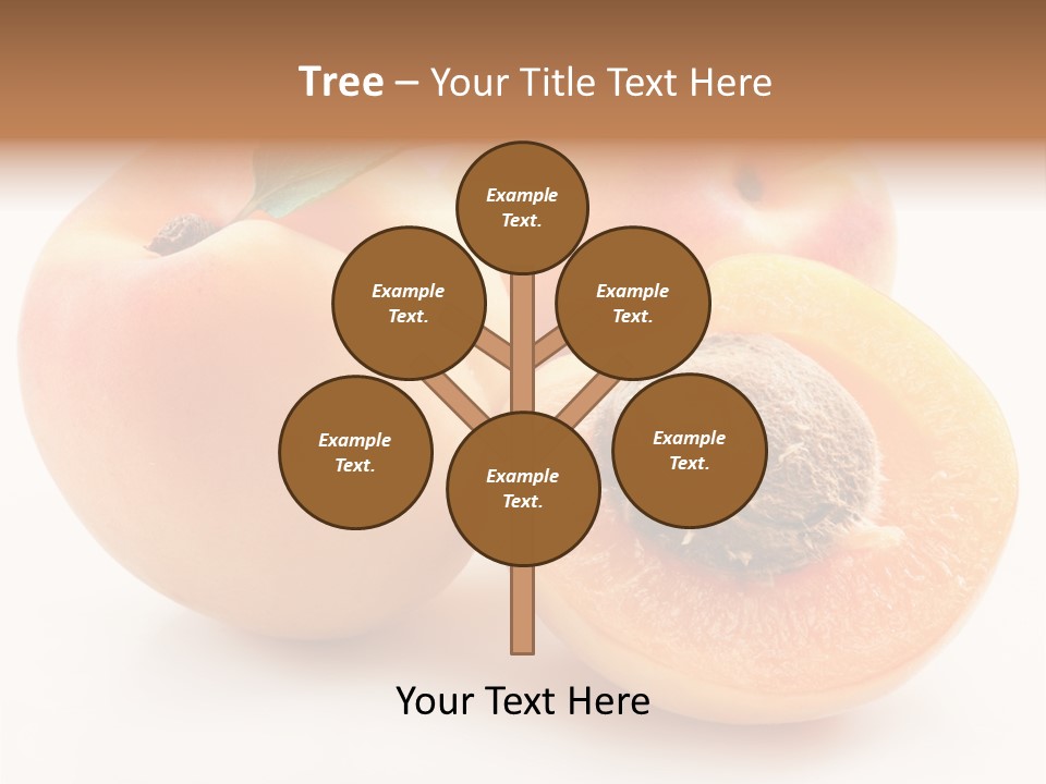 Orange Organic Macro PowerPoint Template