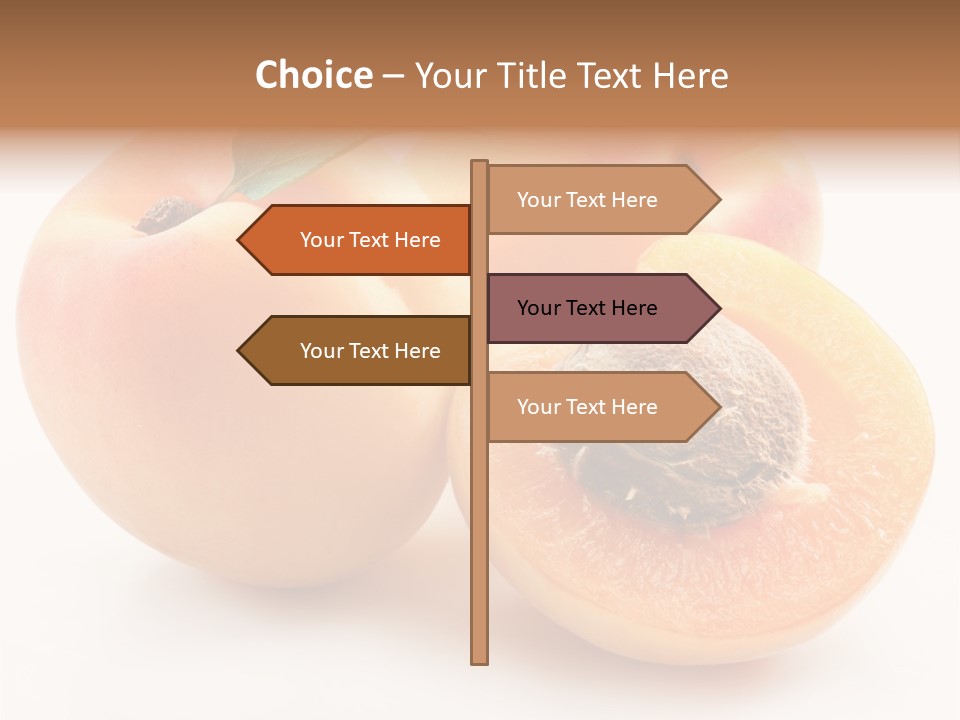 Orange Organic Macro PowerPoint Template