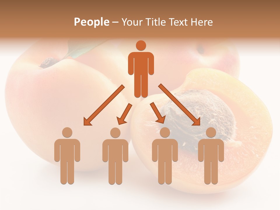 Orange Organic Macro PowerPoint Template