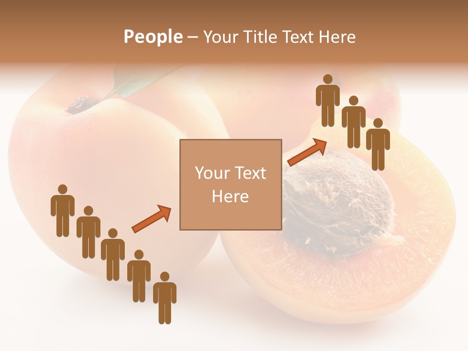 Orange Organic Macro PowerPoint Template
