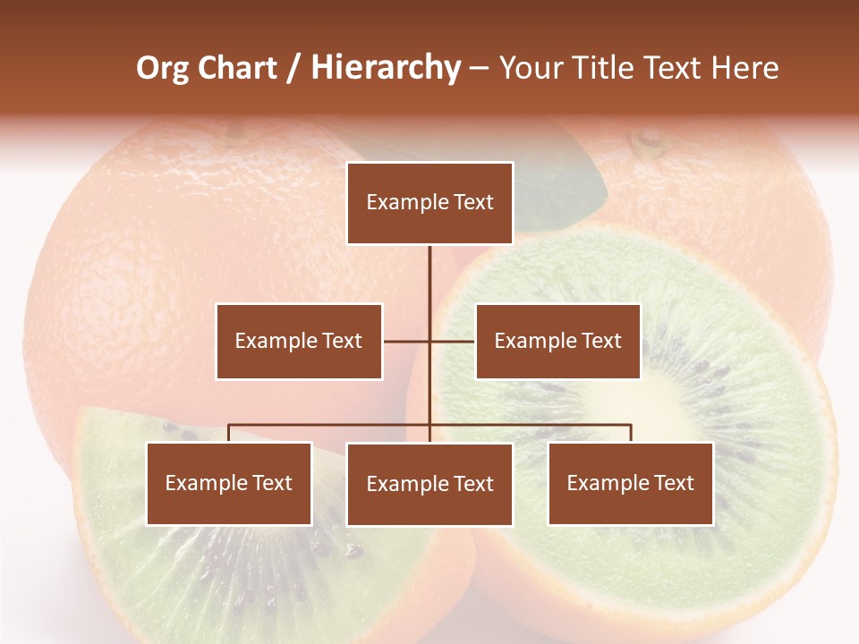 Different Isolated Kiwi PowerPoint Template