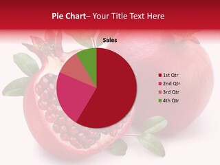 Piece Isolated Food PowerPoint Template