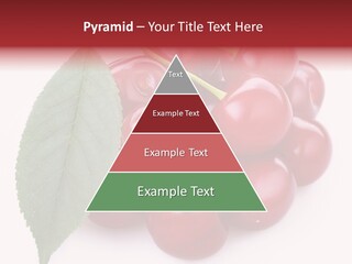 Green Berry Organic PowerPoint Template