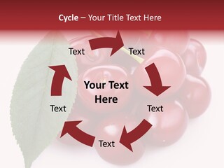 Green Berry Organic PowerPoint Template