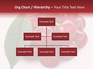 Green Berry Organic PowerPoint Template