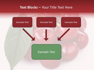 Green Berry Organic PowerPoint Template
