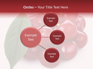 Green Berry Organic PowerPoint Template