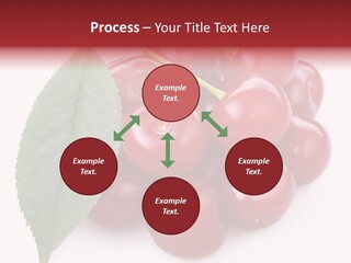 Green Berry Organic PowerPoint Template