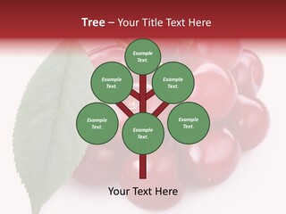 Green Berry Organic PowerPoint Template