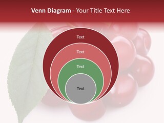 Green Berry Organic PowerPoint Template