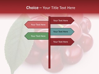 Green Berry Organic PowerPoint Template