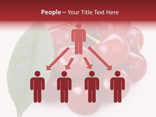 Green Berry Organic PowerPoint Template