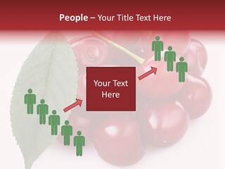 Green Berry Organic PowerPoint Template