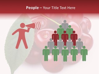 Green Berry Organic PowerPoint Template