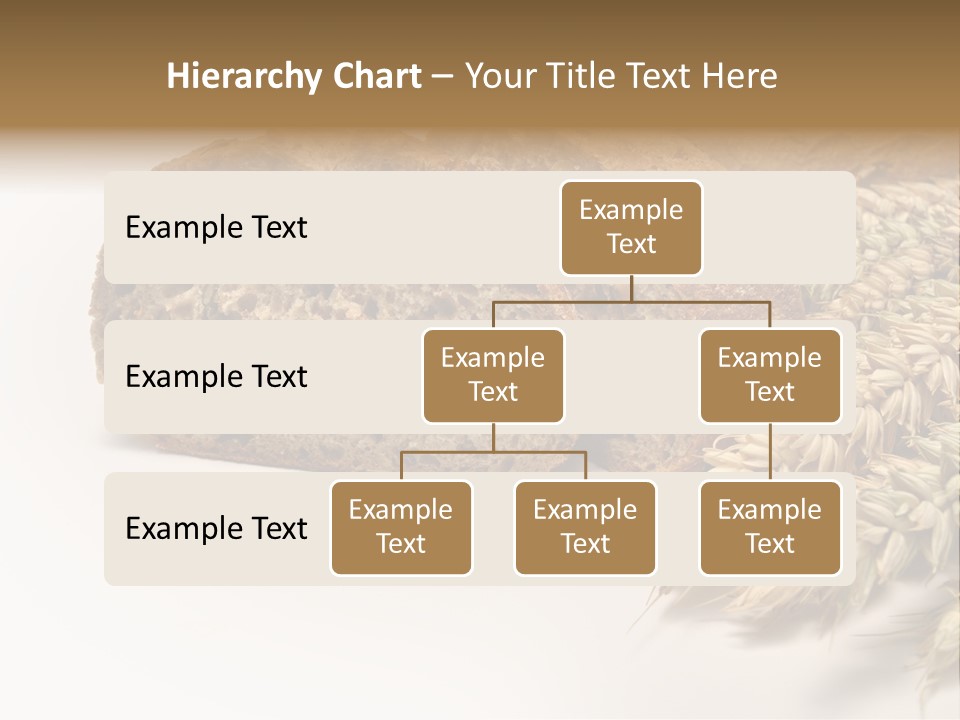 Natura Pola Kromka Chleba PowerPoint Template