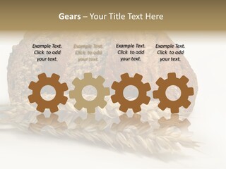 Pole Kuchnia Ekologia PowerPoint Template