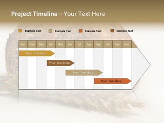 Pole Kuchnia Ekologia PowerPoint Template