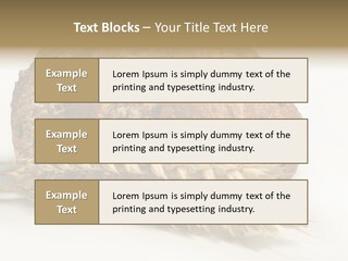 Pole Kuchnia Ekologia PowerPoint Template