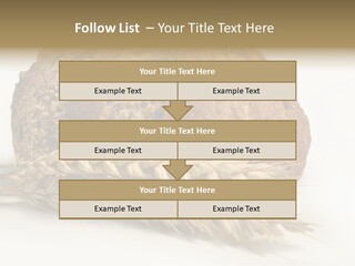 Pole Kuchnia Ekologia PowerPoint Template