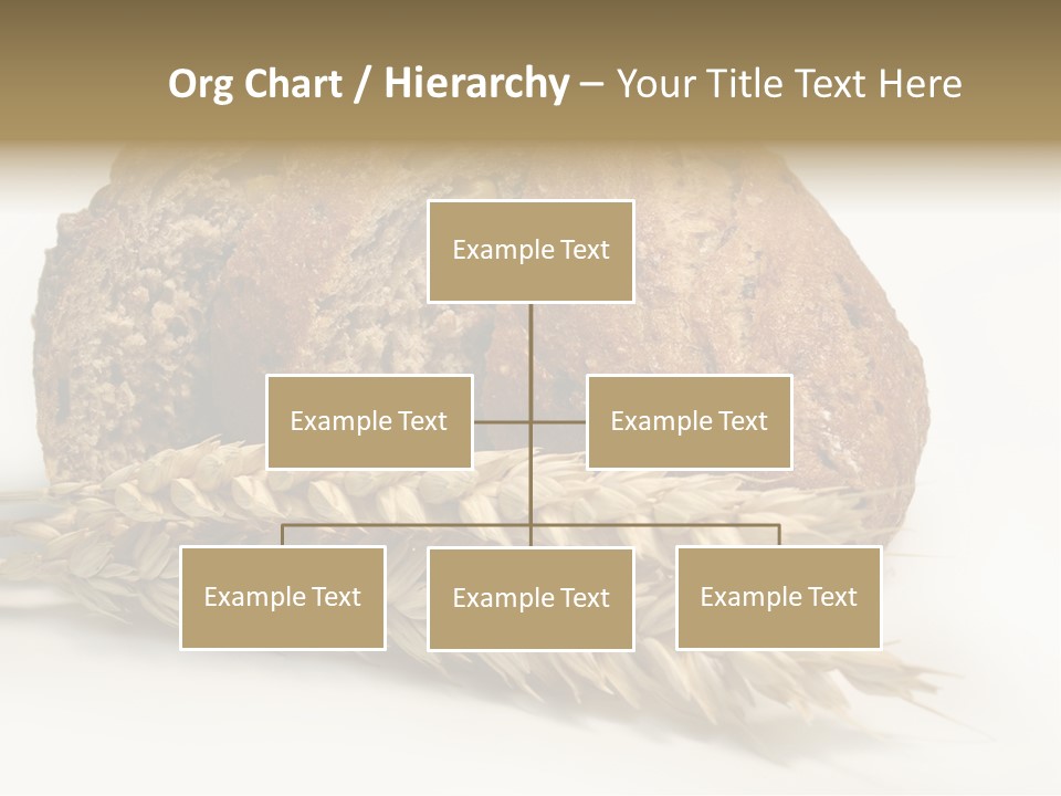 Pole Kuchnia Ekologia PowerPoint Template