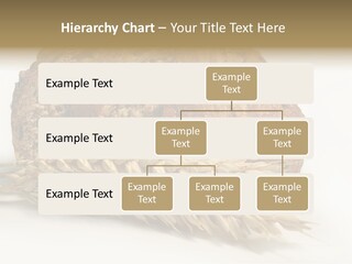 Pole Kuchnia Ekologia PowerPoint Template