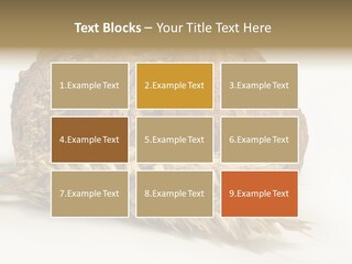 Pole Kuchnia Ekologia PowerPoint Template