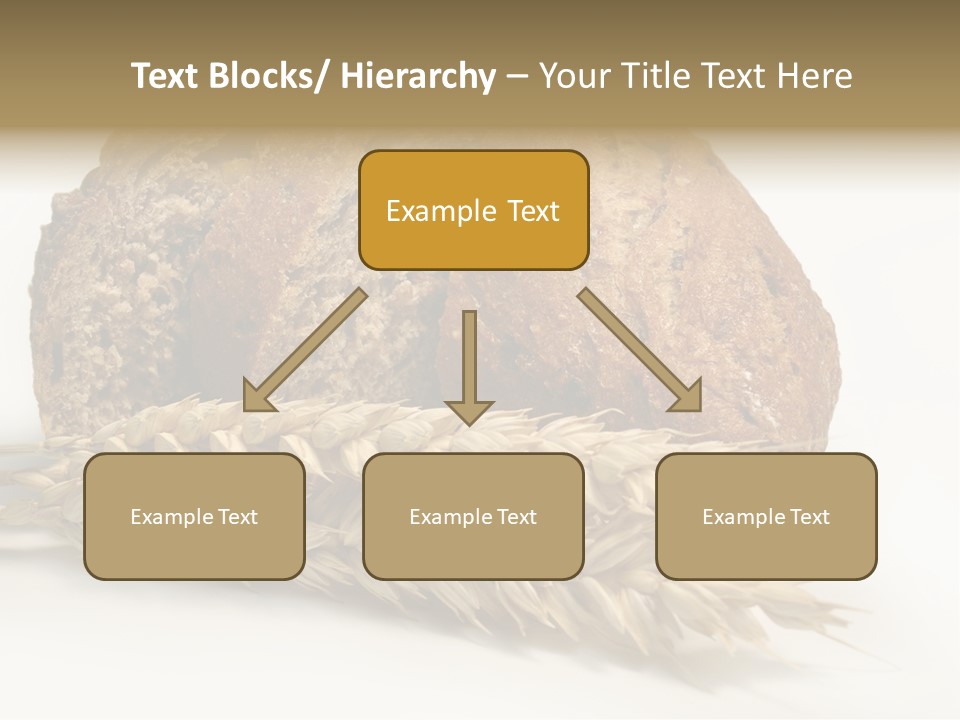 Pole Kuchnia Ekologia PowerPoint Template