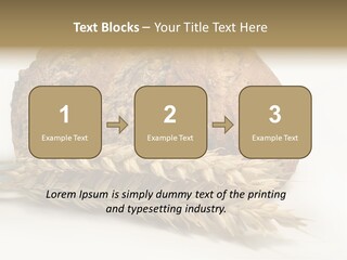 Pole Kuchnia Ekologia PowerPoint Template