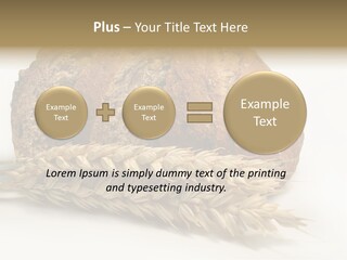 Pole Kuchnia Ekologia PowerPoint Template