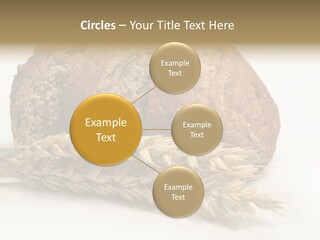 Pole Kuchnia Ekologia PowerPoint Template