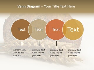 Pole Kuchnia Ekologia PowerPoint Template