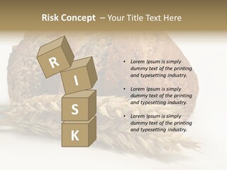 Pole Kuchnia Ekologia PowerPoint Template