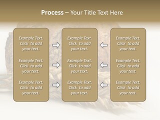 Pole Kuchnia Ekologia PowerPoint Template
