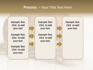 Pole Kuchnia Ekologia PowerPoint Template