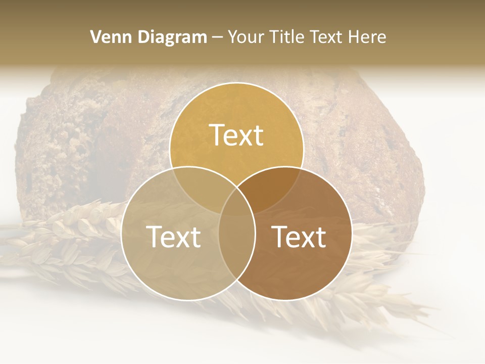 Pole Kuchnia Ekologia PowerPoint Template