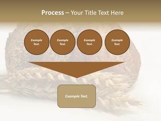 Pole Kuchnia Ekologia PowerPoint Template