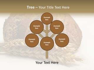 Pole Kuchnia Ekologia PowerPoint Template