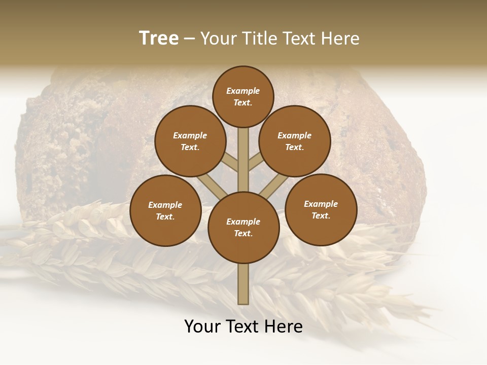 Pole Kuchnia Ekologia PowerPoint Template