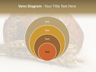 Pole Kuchnia Ekologia PowerPoint Template