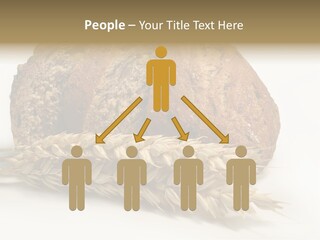 Pole Kuchnia Ekologia PowerPoint Template