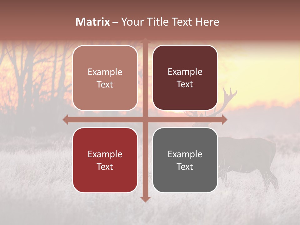 Orange Heather Red Deer PowerPoint Template